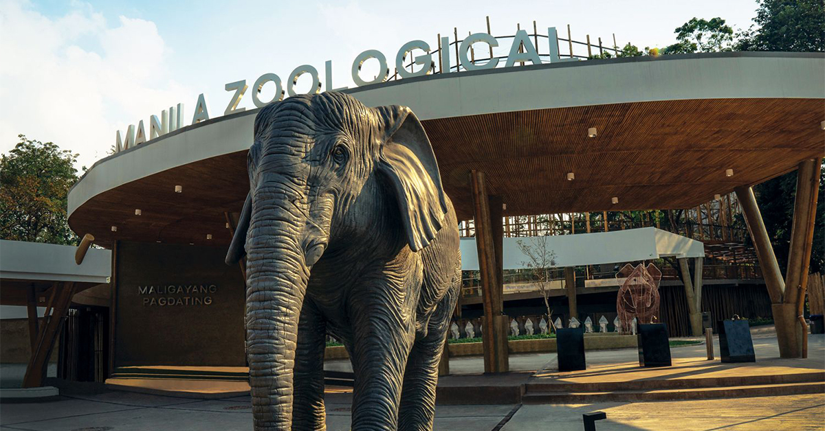 New Manila Zoo The Story Behind Its Architecture After Renovation